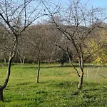 Bochmann Apartament *