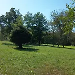 Apartament Bochmann *