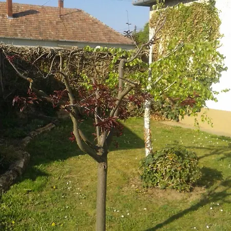 Bochmann Apartament