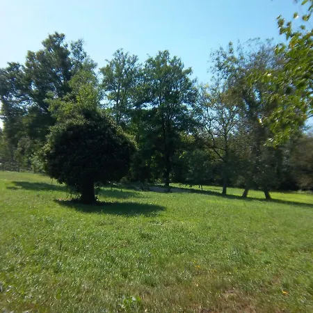 Apartament Bochmann *