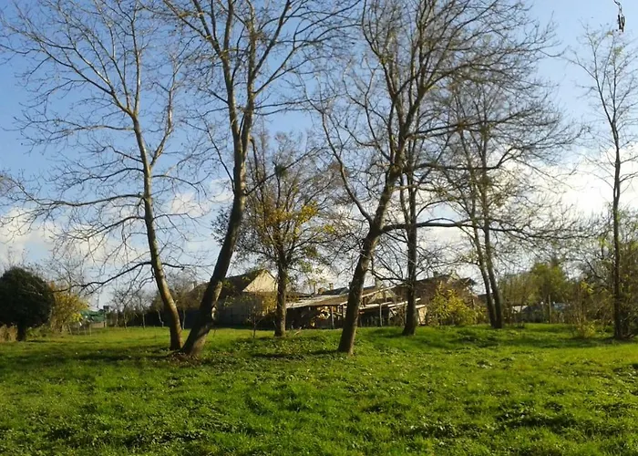 Lejlighed Bochmann Zalaszanto