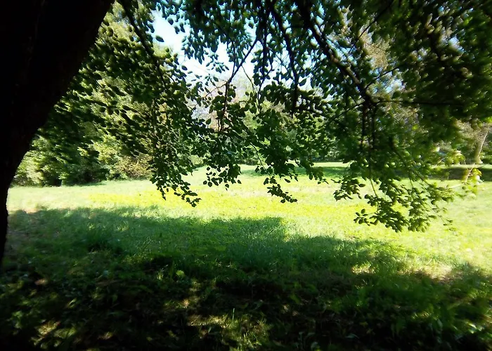 Bochmann Lejlighed